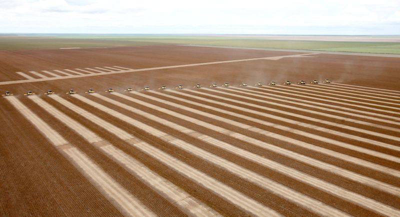 Plantio de soja em Mato Grosso salta para 45% da área de 2021/22, diz Imea