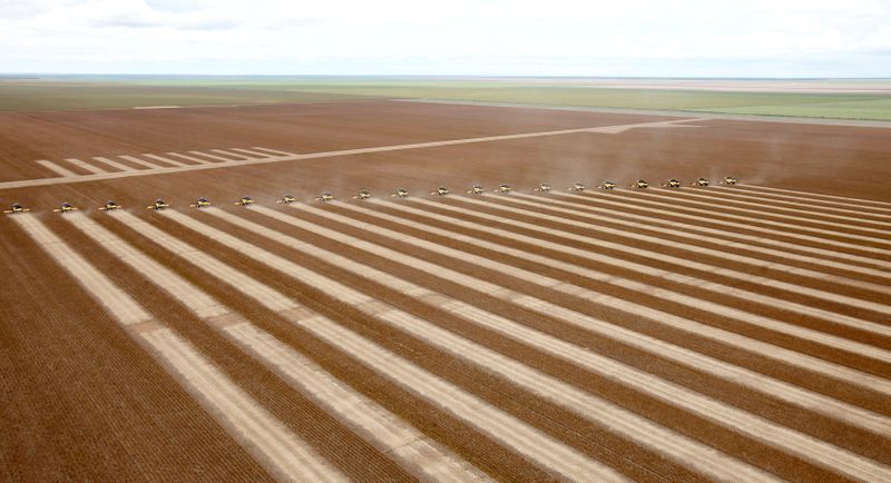 Plantio de soja salta para 60% da área no Paraná e tem boa condição, diz Deral