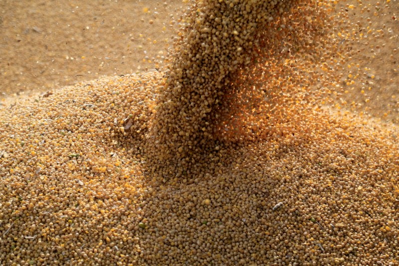 Acelerado, plantio de soja do Paraná avança para 95% da área