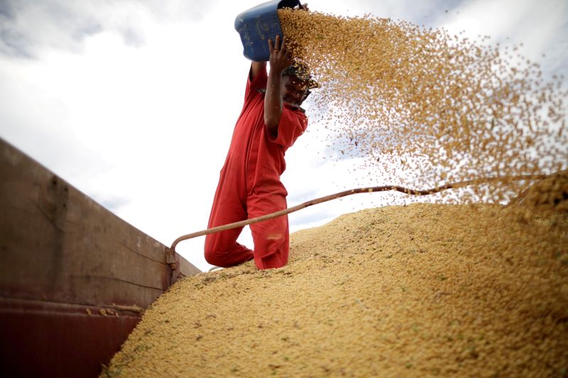 Exportação de soja do Brasil deve crescer em dezembro ante novembro, diz Anec