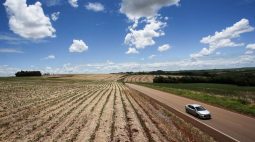 Paraná faz novo corte na safra de soja a 12,8 mi t após seca