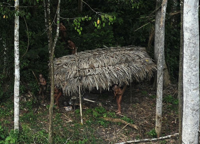 Povos nunca contatados da Amazônia sofrem ameaças no Peru e no Brasil, diz grupo indígena