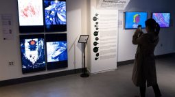 Primeiro museu de NFT do mundo quer “abrir as cortinas” da arte blockchain